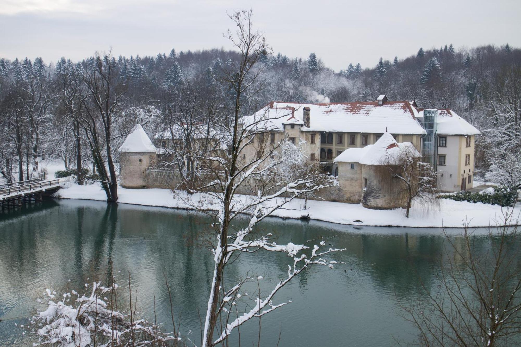 Hotel Grad Otocec - Relais Chateaux 객실 사진