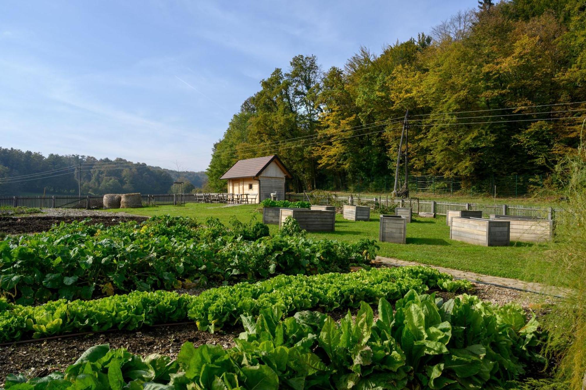 Hotel Grad Otocec - Relais Chateaux 외부 사진